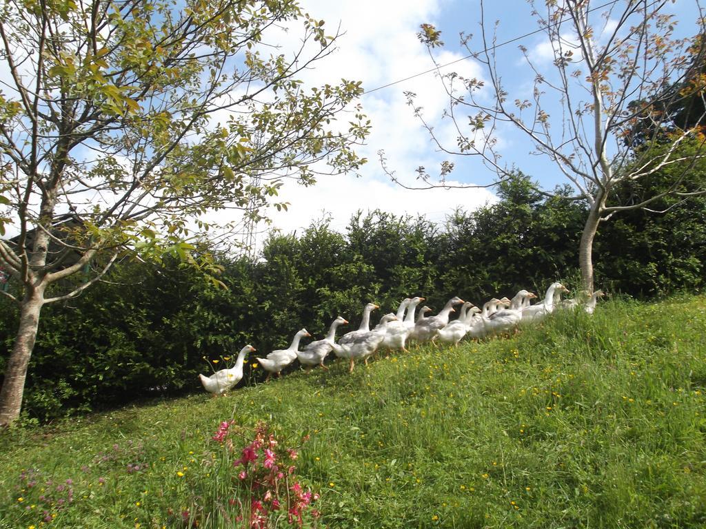 Hostal Rural Onbordi Lesaka Luaran gambar